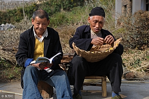 无心插柳柳成阴,东成西就万事通猜一生肖(无心插柳柳成阴,东成西就万事通这句诗词表达的意思)