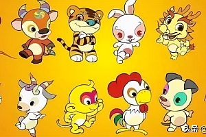 禁闭之所内有线打一个生肖(禁闭之所内有线黑幕揭晓)