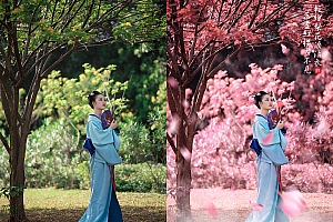 PS调色教程:使用Photoshop调出粉色唯美的樱花人像效果