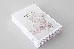 Cellini珠宝品牌婚戒目录画册设计
