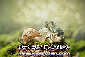 Photoshop合成另类鸟巢中孵化出的河马图片