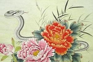 找后起之秀的生肖猜一生肖(找后起之秀的生肖日子越过越好)