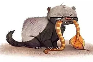 勇往直前的动物指的什么生肖(勇往直前的动物平头哥)