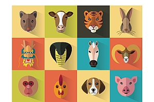 来生最怕被犬欺,二过横塘水一提是什么生肖(来生最怕被犬欺,二过横塘水一提是怎么被描述的)