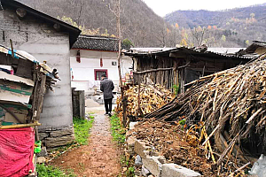 旧居深山指的什么生肖(旧居深山不为人知艰难故事)