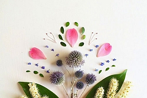 以花菌草木为主题的创意作品欣赏