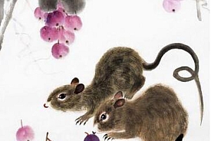 流离失所指的什么生肖(流离失所咸鱼翻身东山再起)