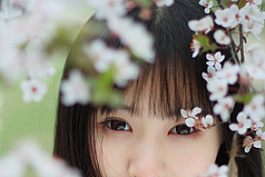 伯乐识得方成才,一年生计春和夏猜一生肖(成语解释伯乐识得方成才,一年生计春和夏)