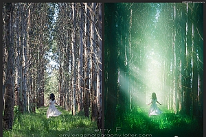 Photoshop给森林照片添加唯美的丁达尔光效
