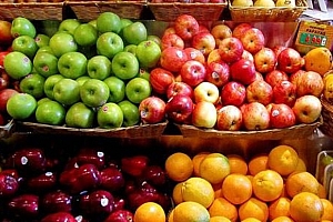 参差不齐是什么生肖(网上买菜质量参差不齐)