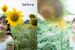 Photoshop调出日系暖色效果向日葵中女孩照片