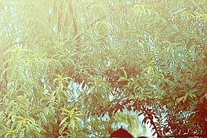 用Photoshop制作甜美青黄色婚纱照片处理