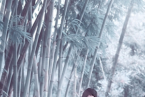 Photoshop调出藏青色竹林背景的婚纱照片