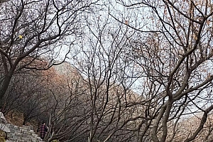 不过疏忽是什么生肖(不过疏忽的典故来源)