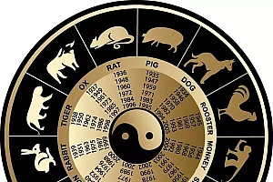 欲钱买黯然销魂的动物打一个生肖(欲钱买黯然销魂的动物届活化石)