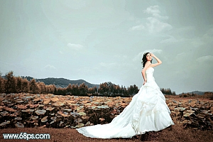 Photoshop把荷塘背景婚纱照片调成青褐色