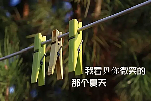 约法三章定律寅,执掌朝纲有主见猜一生肖(约法三章定律寅,执掌朝纲有主见是哪三章)