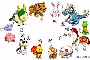 两地同发带六归,国望亲人八注意是什么生肖(两地同发带六归,国望亲人八注意谜底解释)