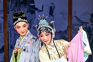 十指尖尖捧一杯,问君此去几时会猜一生肖(十指尖尖捧一杯,问君此去几时会诗词赏析)