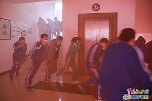 浓烟四起野兽窜打一个生肖(火场演习浓烟四起野兽窜)