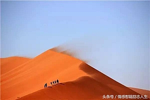 成语解释《四四组合应今朝,一九作伴不分离》打一个生肖动物是什么生肖
