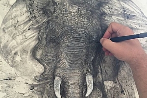 Glen Ronald插画设计师水墨风作品设计欣赏