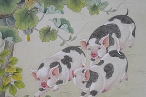 欲钱:买一往无前的动物指的什么生肖(喜欢乱花钱欲钱:买一往无前的动物)
