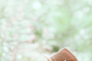 Photoshop调色制作春季小清新淡绿色效果的外景人物图片