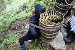 取下作宝宝求贵,合六之彩旺晚年打一个生肖(取下作宝宝求贵,合六之彩旺晚年原来是这个意思啊)