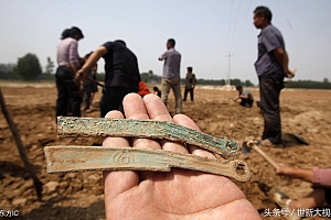 扒手寻宝浑不知指的什么生肖(扒手寻宝浑不知的故事探析)