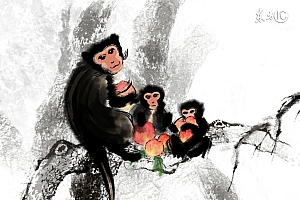 蓝蓝红红好码来指的什么生肖(蓝蓝红红好码来各自代表了什么)