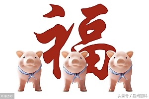 有三有四有特马,一片天机定虎狗是什么生肖(有三有四有特马,一片天机定虎狗暗藏的深意)