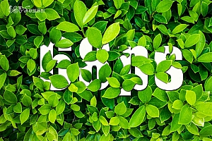 Photoshop制作藏在绿叶中渐隐渐现的艺术字