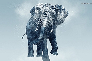 用PS合成创意冰封大象场景图片的Photoshop图片合成教程