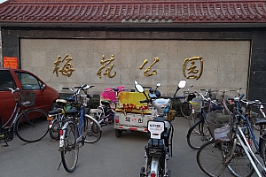 重大进展《十赌必输》打一个生肖(十赌必输)打一个生肖动物