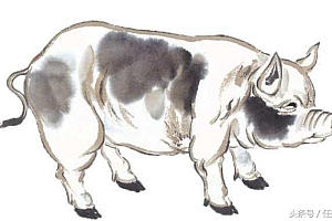 刚刚曝出《热火朝天》猜一生肖(热火朝天)指的什么生肖动物