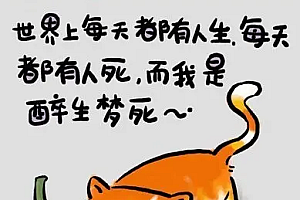 谜底揭晓《睡,醉生梦死》猜一生肖(睡,醉生梦死)指的什么生肖