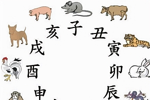 《欲钱:买闭门造车的动物》打一个生肖(欲钱:买闭门造车的动物)是什么生肖