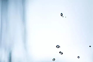 春雨绵绵指的什么生肖(散文春雨绵绵赏析)