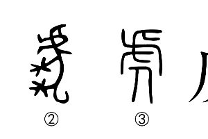 猛虎添翼打一个生肖(将人喻作猛虎添翼的图片赏析)