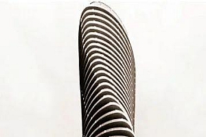 TA 的画作拍卖出天价,AI 来抢艺术家们的饭碗了?