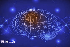 首次证明人脑细胞在体外也有智力:可在培养皿中打游戏