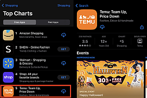 拼多多跨境电商temu登陆海外市场