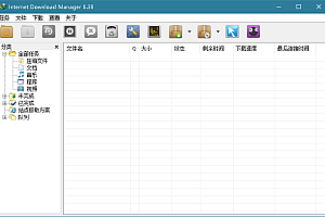 下载利器IDM v6.41.3绿色版