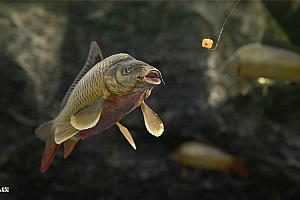 《人渣》v0.8.0.57842中文版