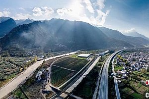 甘肃陇南“靠山吃山”:特色山地农业三年倍增再拓“疆土”