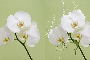 第1课:影像创意课程介绍