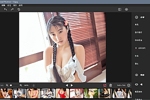 【破解软件】AI智能修图软件 Movavi Picverse V1 繁体中文版