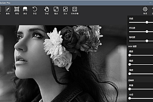 【汉化软件】Picture Colorizer Pro V2.4.0 汉化版(AI智能黑白照一键上色软件)