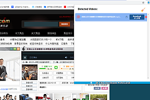 【谷歌插件】All Video Downloader Professional视频音乐探嗅下载插件